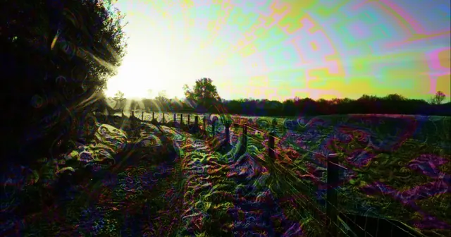 High Dose Field