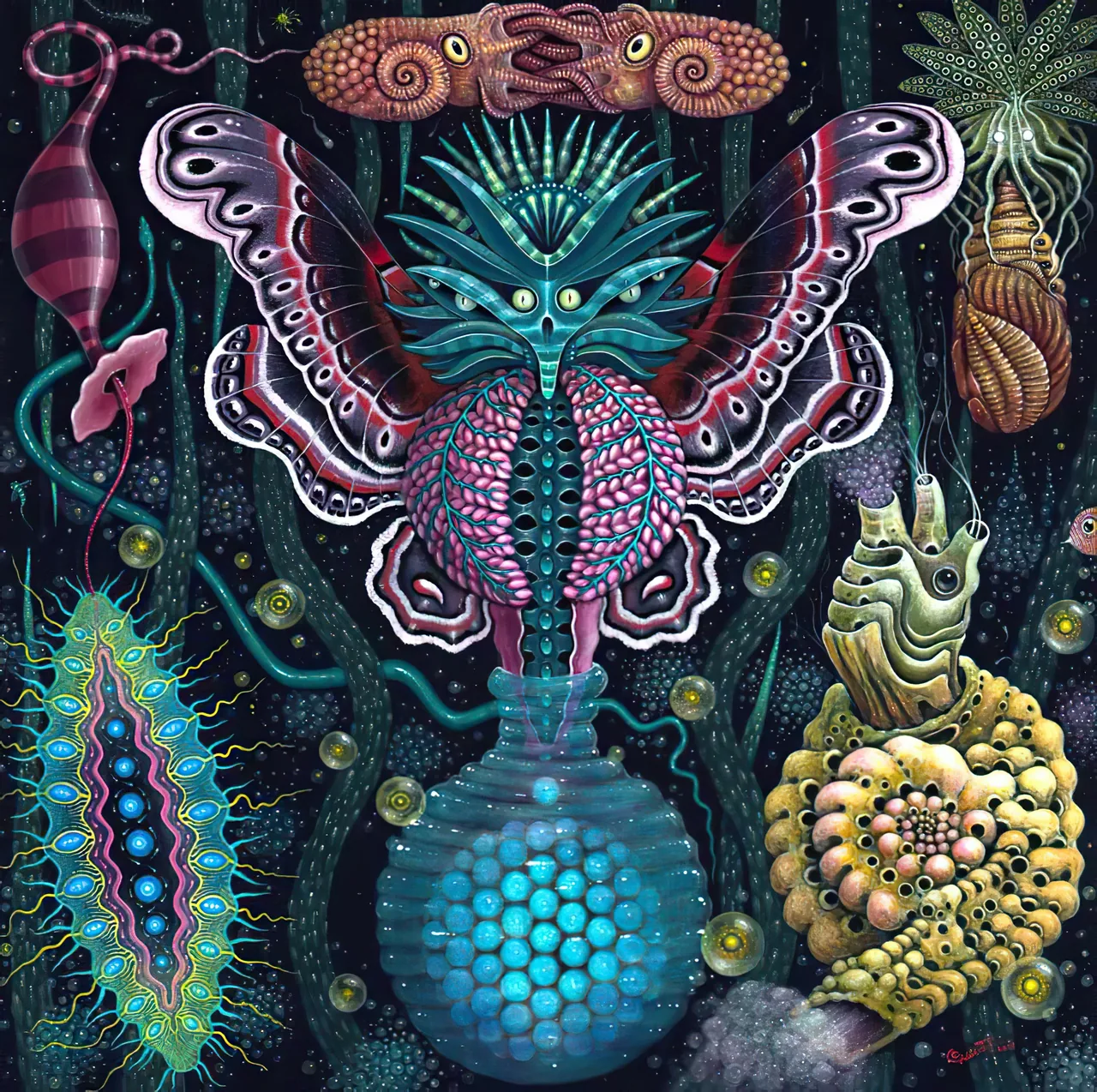 Moth and Seed Still Life