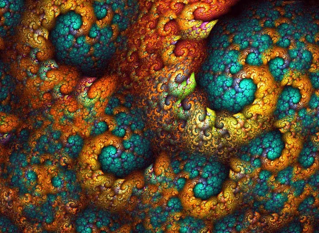 Fractals