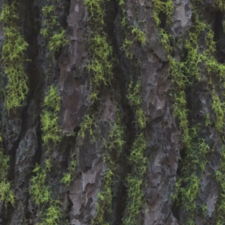 Acuity Enhancement on Tree Bark