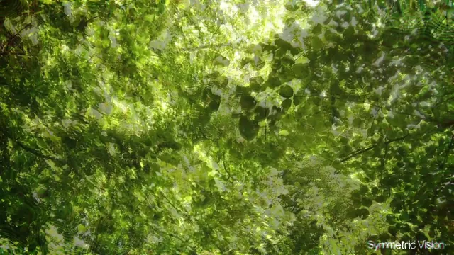 Foliage Recursion