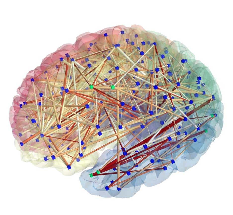 A crude analogous representation of the visualization of the brains mechanics.
