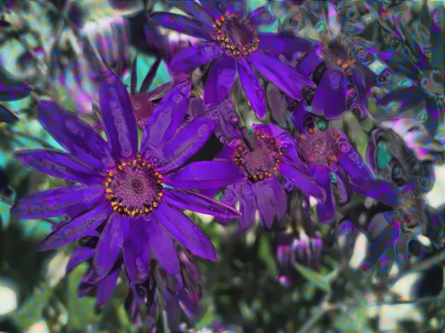 Blacklight Flower Mini Coop