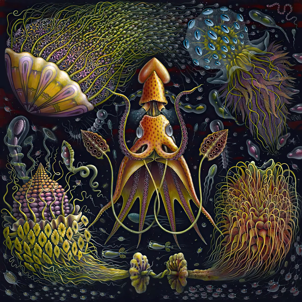 Amber Squid Garden