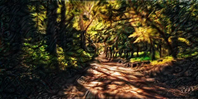 Forest Path