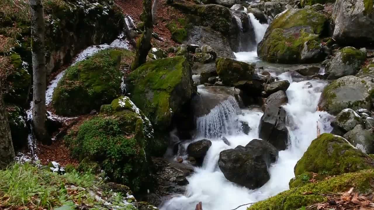 Acid creek