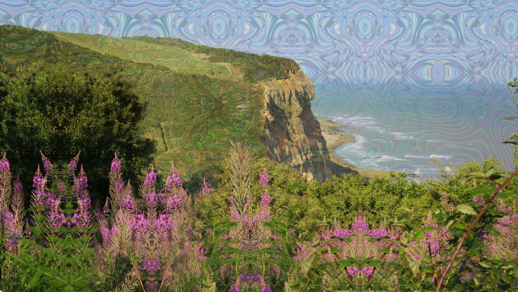 LSD in Hastings Country Park