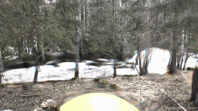 Spring Balloon
