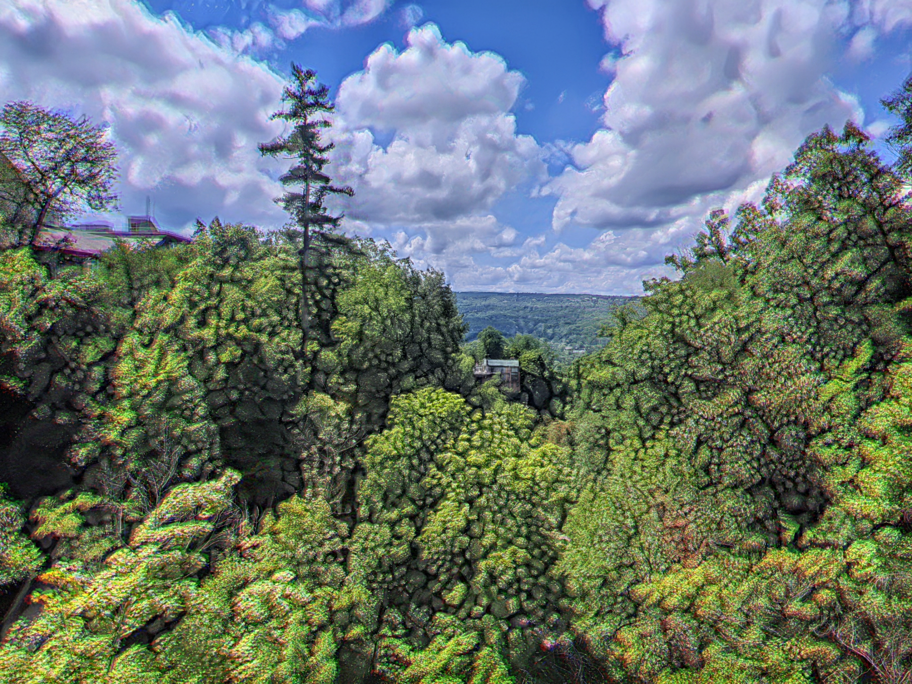 liquified trees
