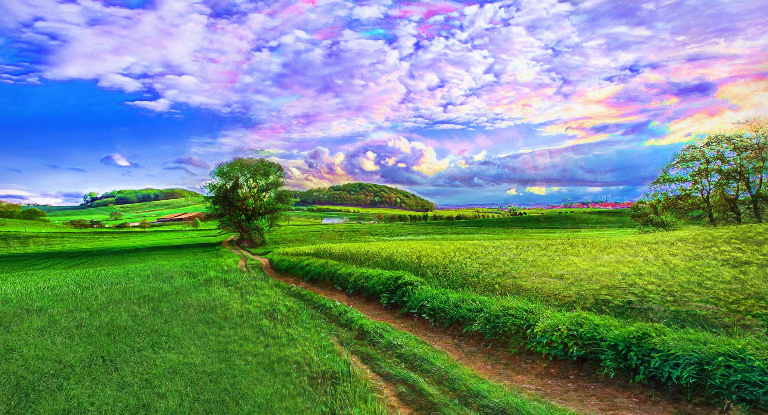 LSD field