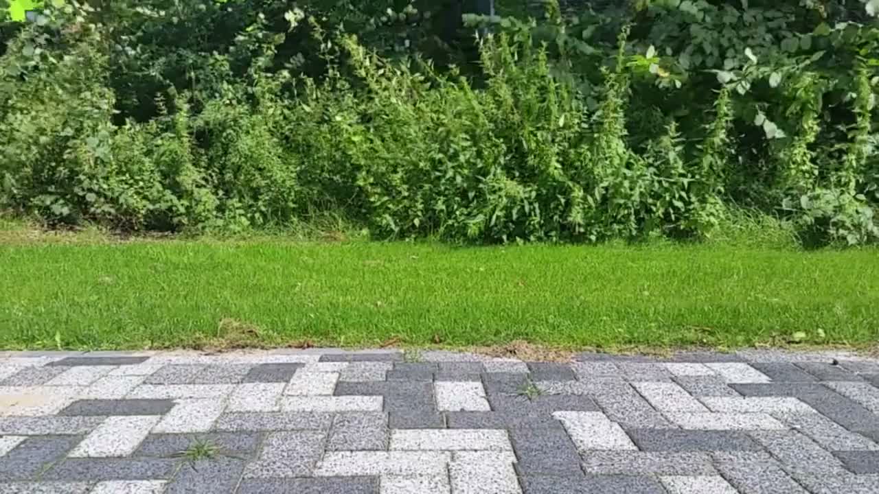 Scenery Slicing