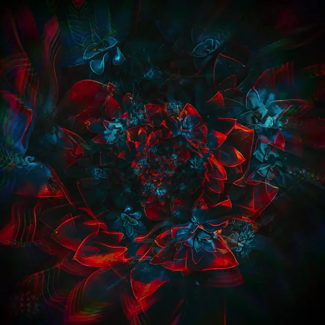 Recursive Flowers