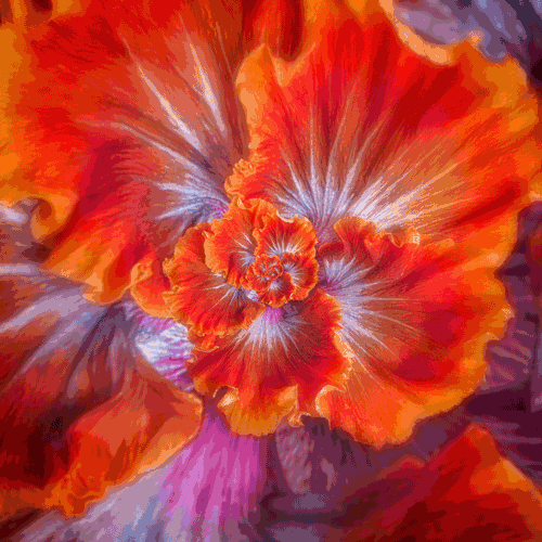 Red flower