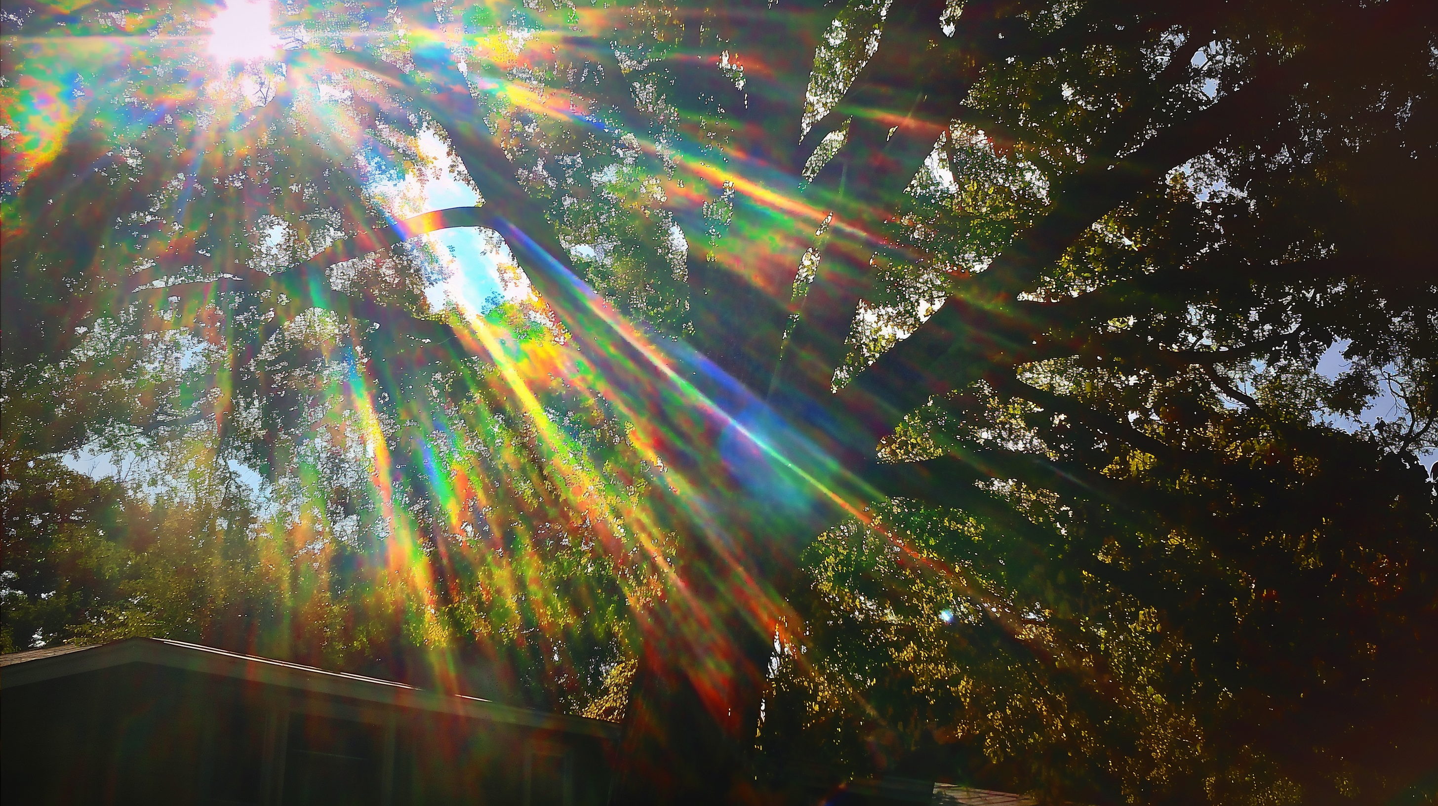 diffraction tree