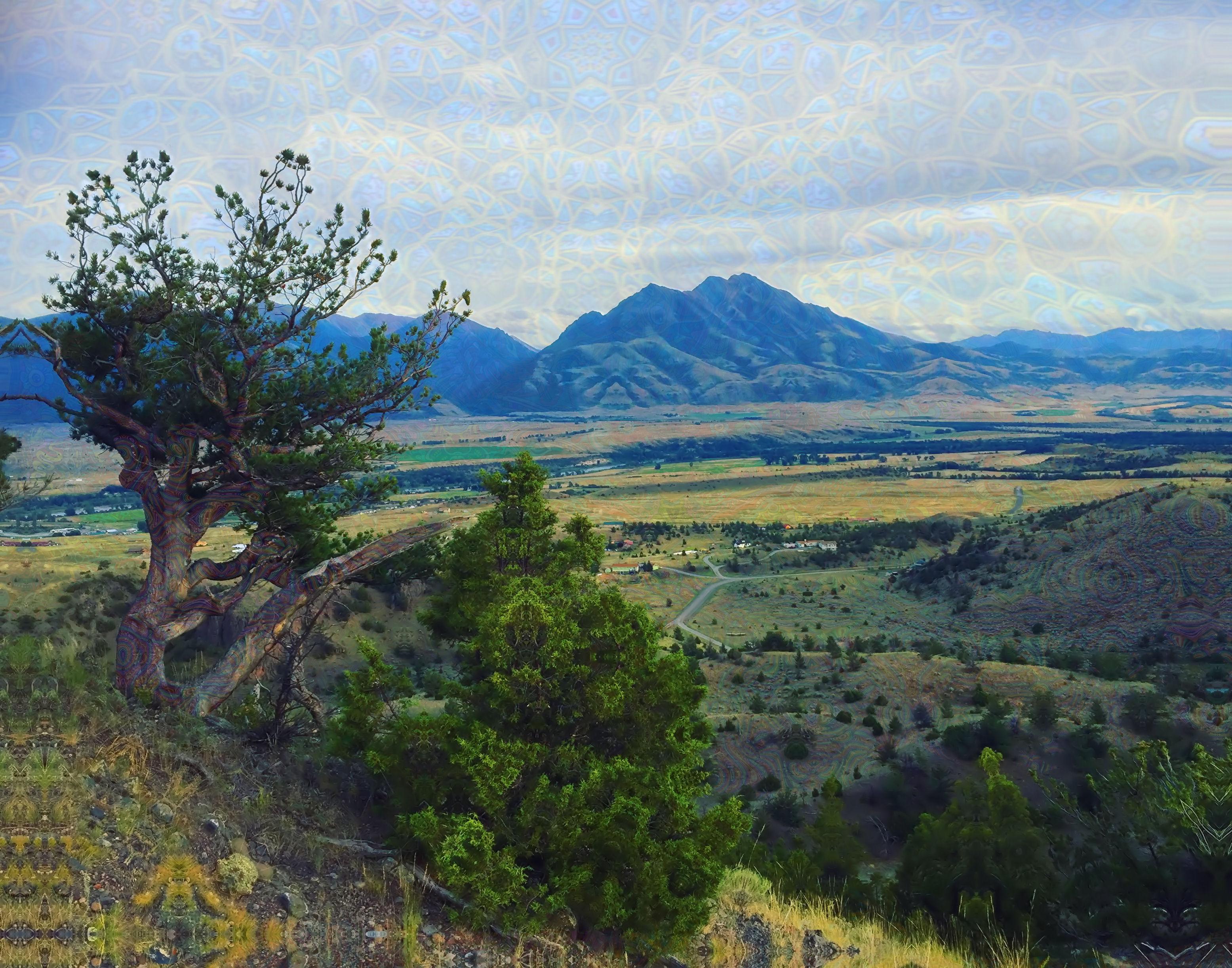 Paradise Valley