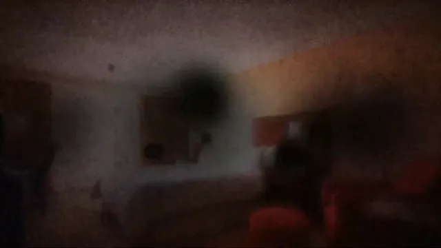 Noise - Deliriant Replication