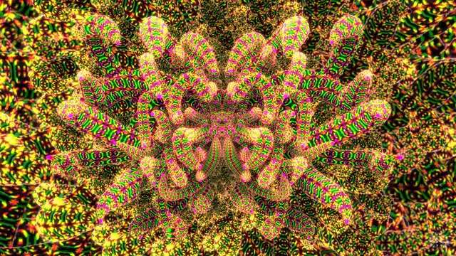 DMT CEVs