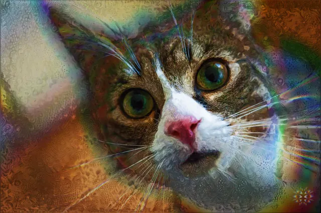 High-Dose Kitty