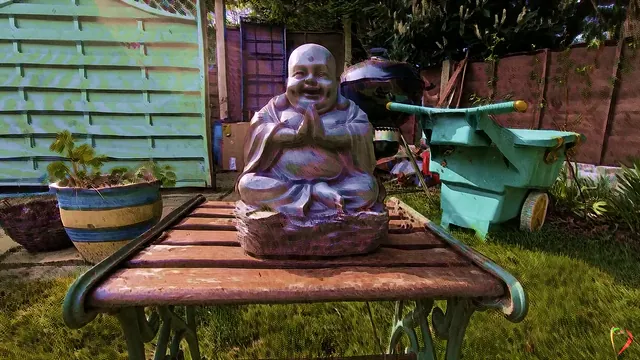 Elastic Buddha