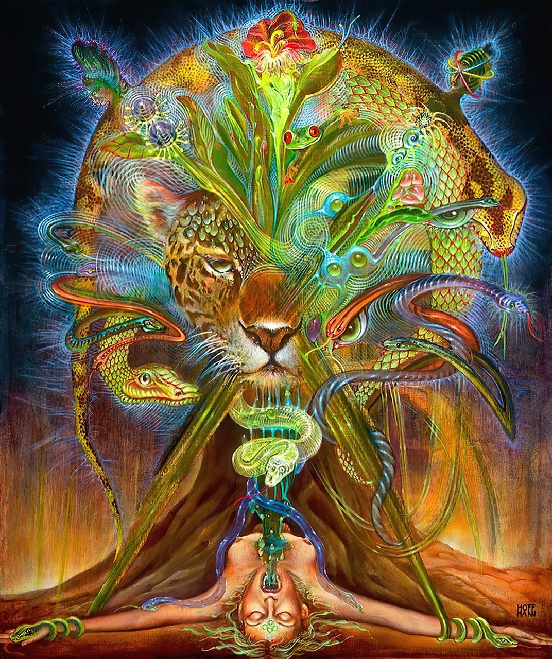 Tiger Spirit of the Forest
