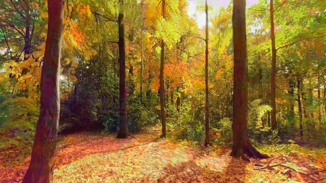 Breathe in the Air [Psychedelic  Replication]