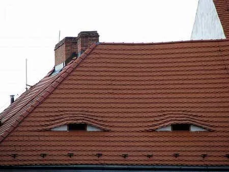 Squinting eyes on a roof top
