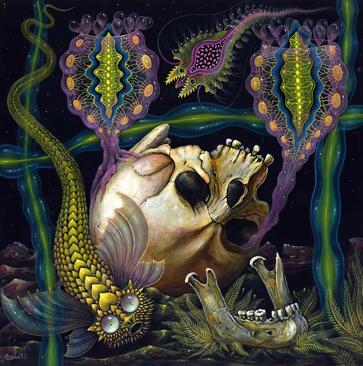 Serpent and Skull Still Life