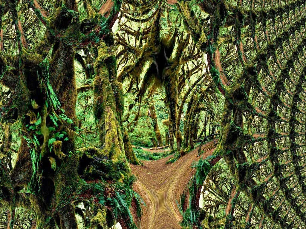 Fractals