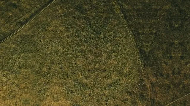 field