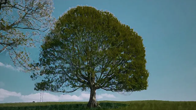 Treetment
