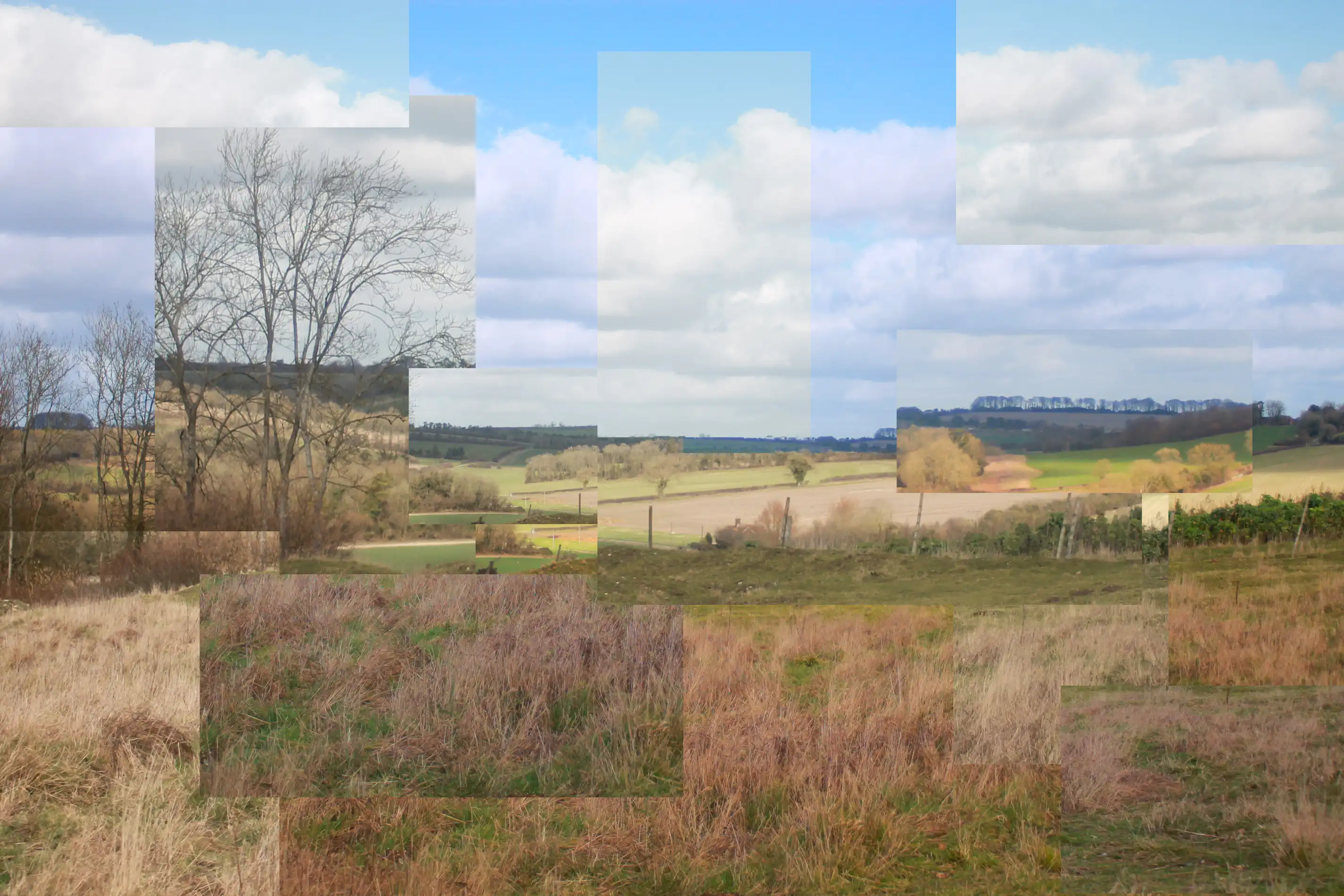 Cubism Field