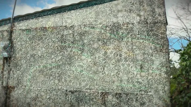 High Dose Shrooms Trip Simulation (POV)