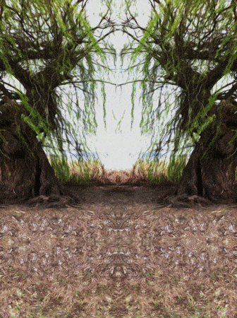 Symmetric drifting patterns