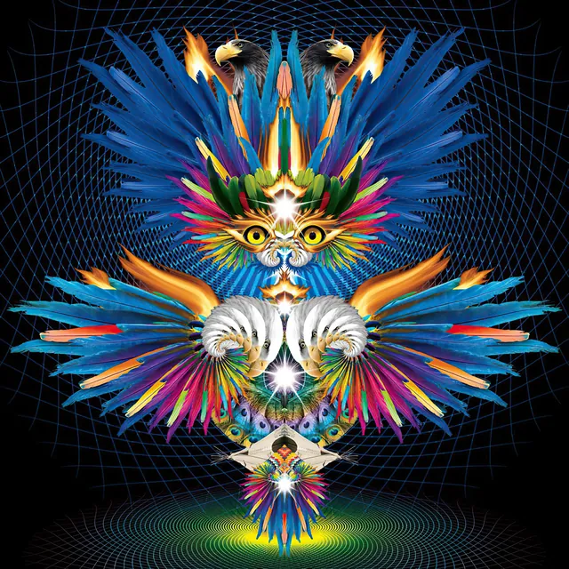 Eagle Feather Radiance